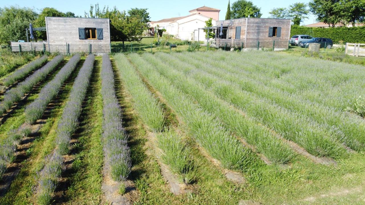 Domaine D'Elusa Vic-Fezensac Exterior photo